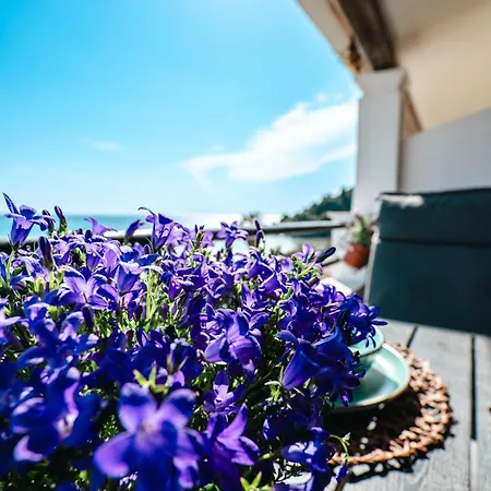 Appartement Corfu Dream Holidays *